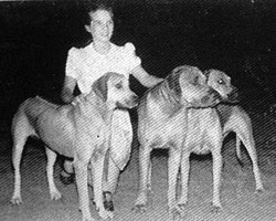 Laurie with champion dogs posing