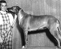 Lady with dog posing