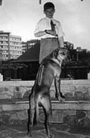 Ridge on Ridgeback dog with lady