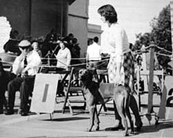 lady at dog show