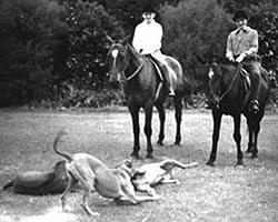 two people on horseback with dogs playing on the ground