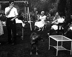 People with dog in the garden