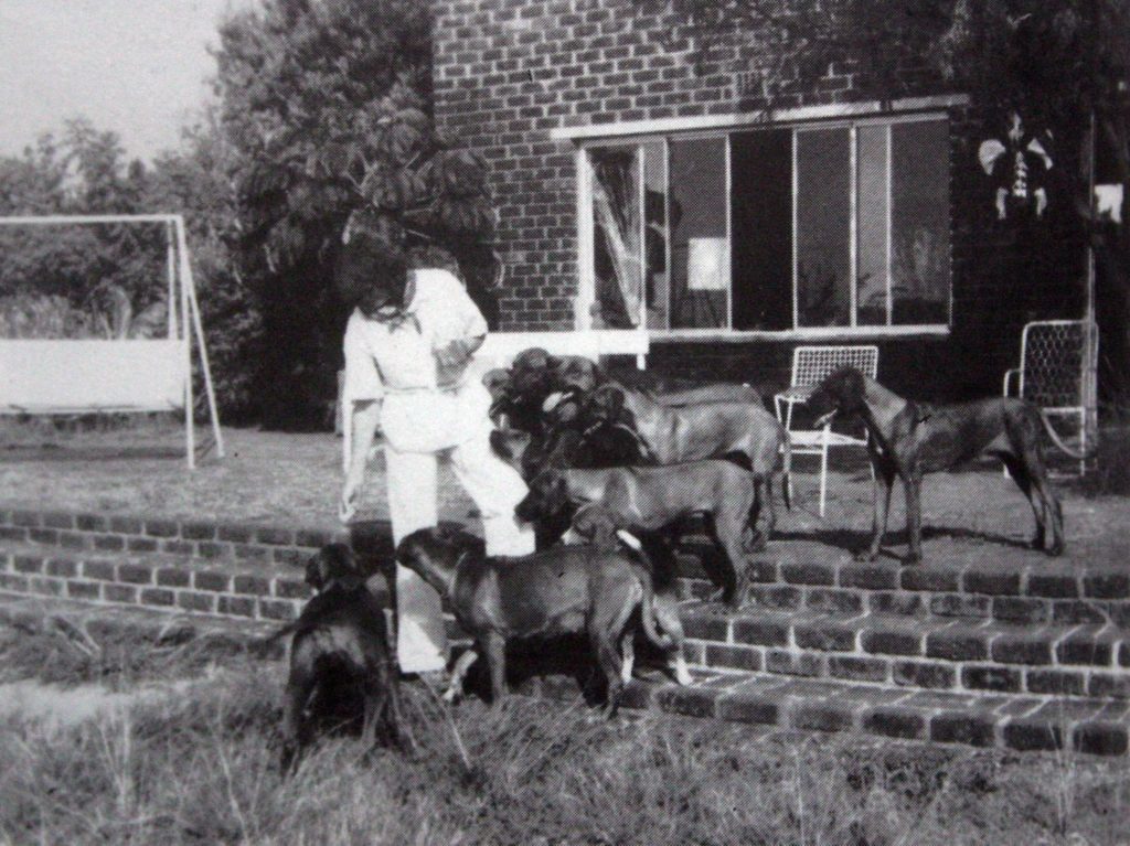 woman on stairs with dogs