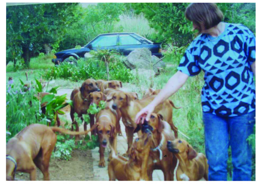 lady points to several dogs