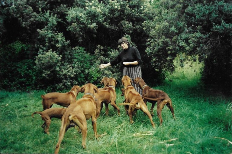 woman playing with dogs