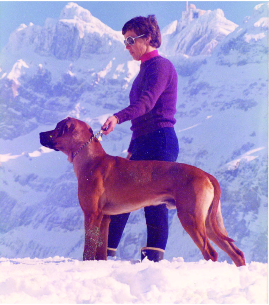 Lady with dogs in mountains