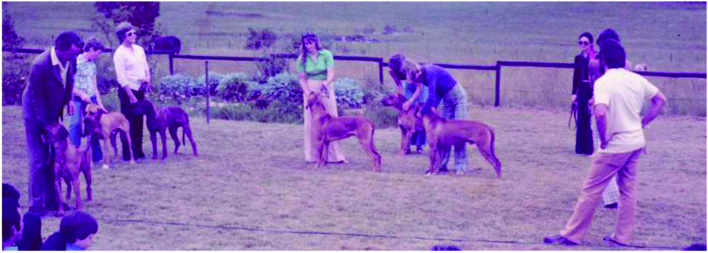 people with dogs in yard posing for pictures