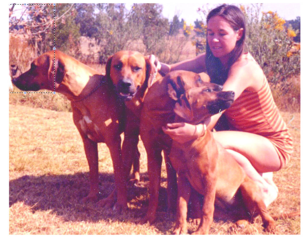 lady with three dogs