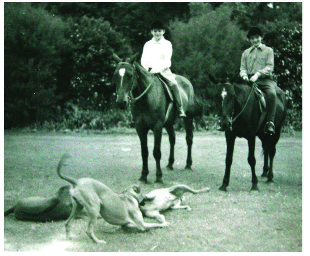 two people on horseback with dogs