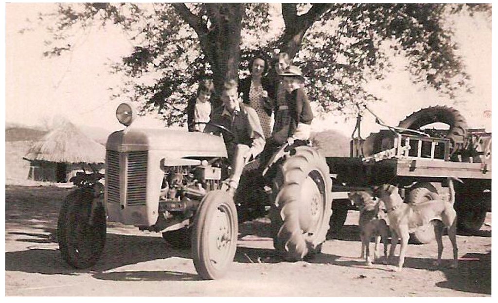 Black and white image of tractor with dog